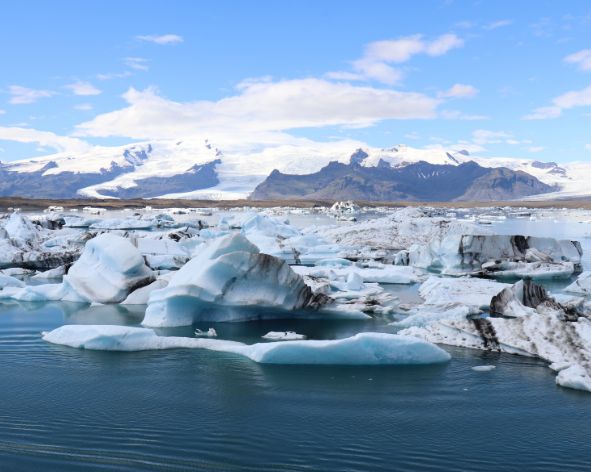 Integrating Climate Models into Financial Decision-Making